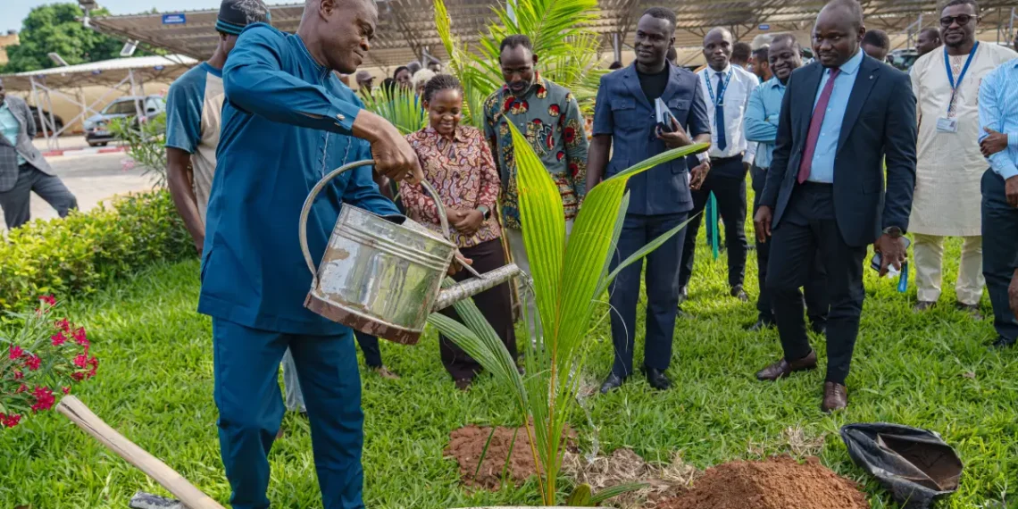Journée de l&rsquo;arbre 2026 : L’ANAC Togo mobilisée pour un environnement plus vert et durable