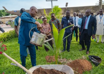 Journée de l&rsquo;arbre 2026 : L’ANAC Togo mobilisée pour un environnement plus vert et durable